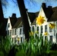 /album/ip-pictures/begijnhof11-copia-jpg/
